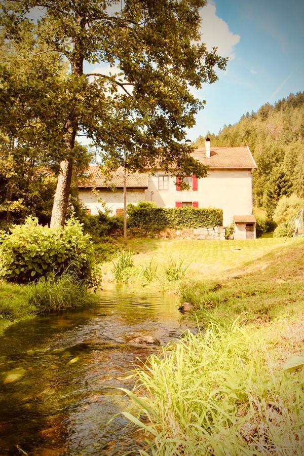 Gite De Charme Jusqu'A 14 Personnes, Proche Du Lac De Gérardmer Zewnętrze zdjęcie